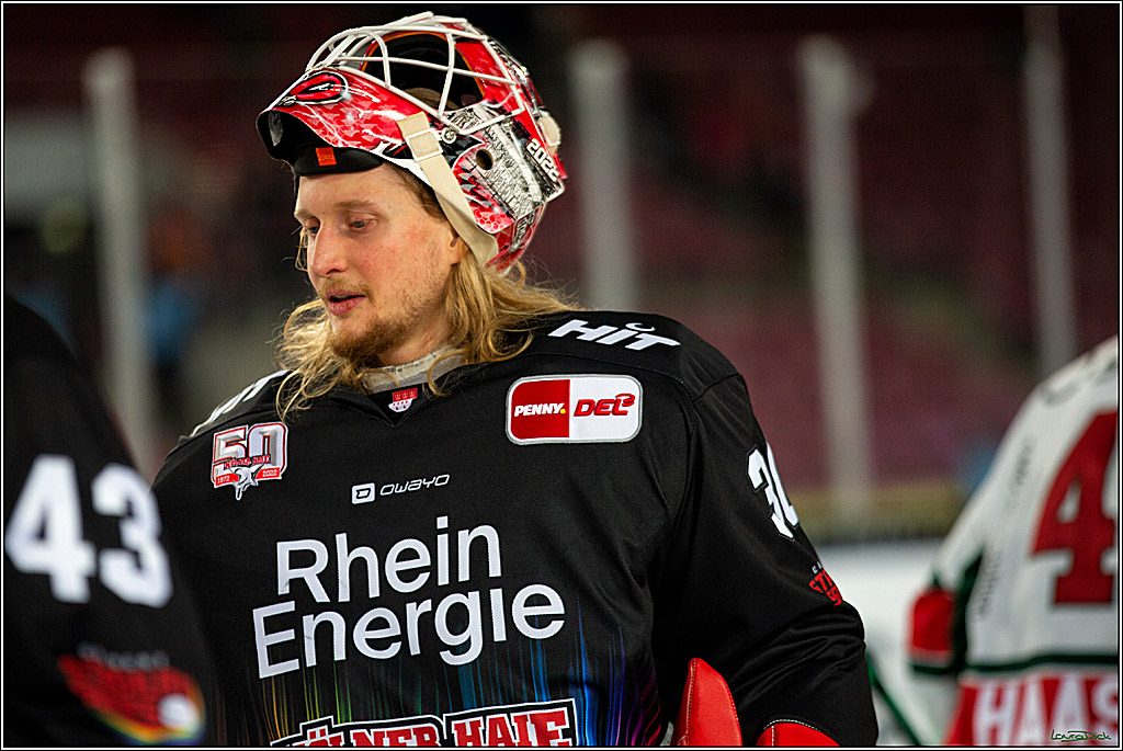 PENNY DEL; Koelner Haie- Augsburger Panther; Koeln, 08.01.2023